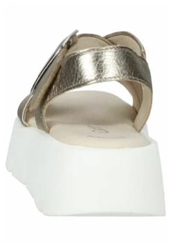 Gabor Riemensandalette - Puder 9 Gabor Riemensandalette - Puder -Gabor Schuhe Geschaft 08f02f6e0bd142a0803d1aa172781aed