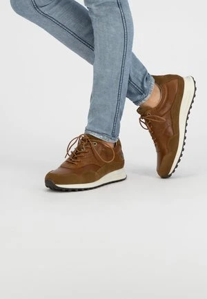 Gabor Comfort Sneaker Low - Braun 6 Gabor Comfort Sneaker Low - Braun – Bild 6