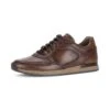 Pius Gabor SNEAKER LOW - Trainers - Cognac