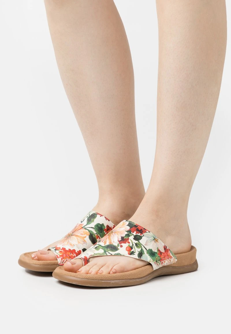 Gabor Zehentrenner - Multicolour 1 Gabor Zehentrenner - Multicolour